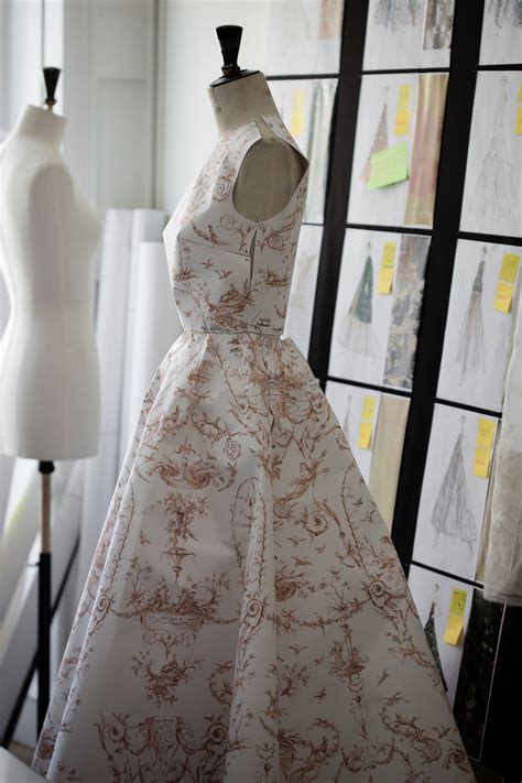 toile de jouy dress dior|toile de jouy couture.